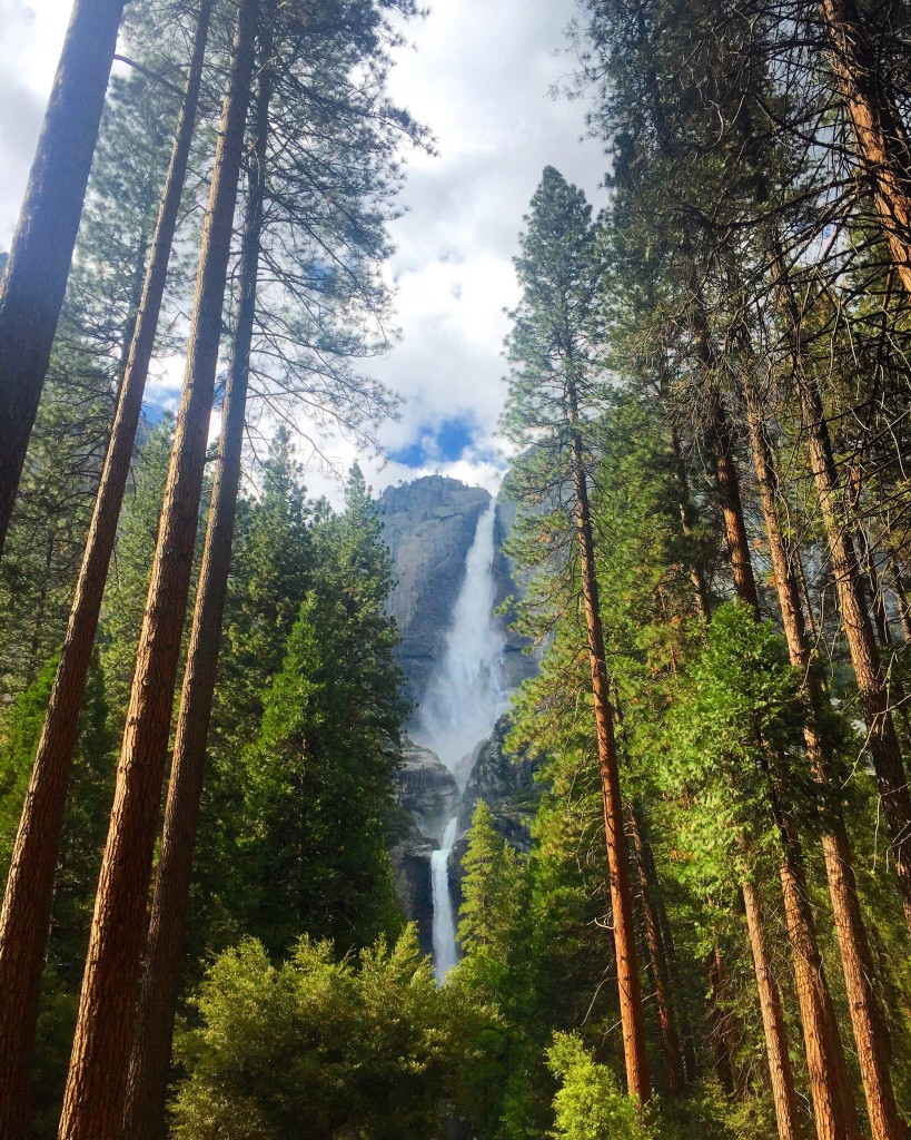 Sequoia/Yosemite National Park Photo Journal
